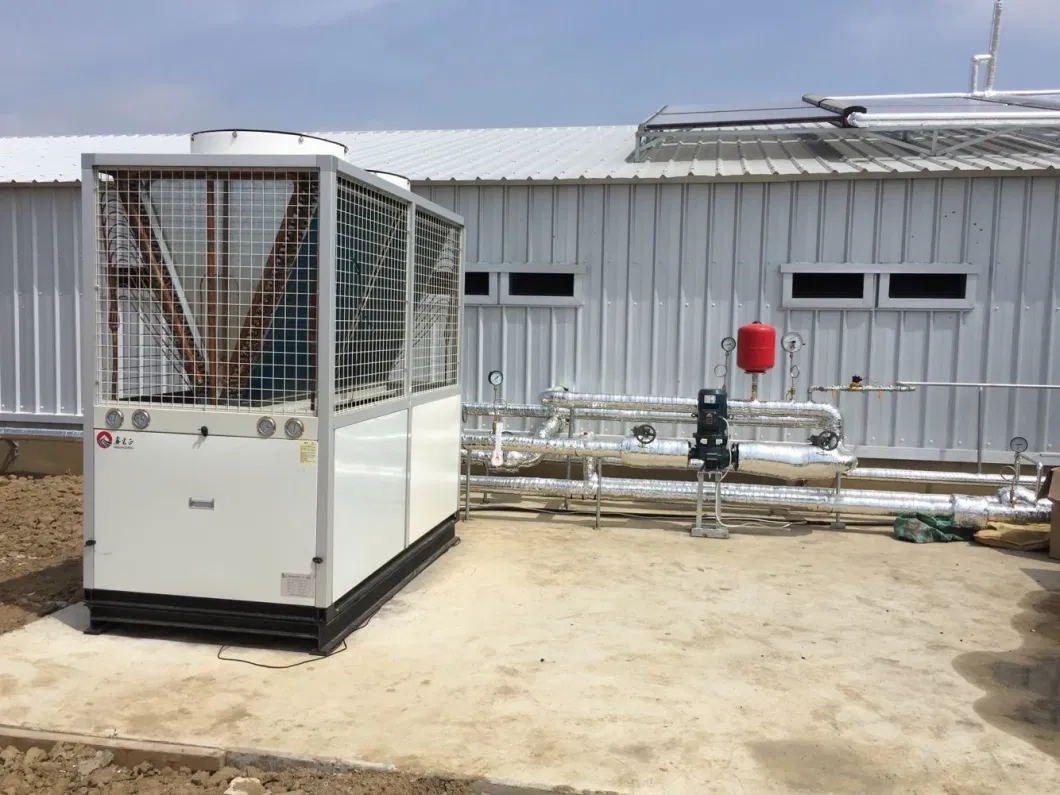 CE Sản xuất gia súc nhà nông nhà thép nhà gà và thiết bị cho gà 3