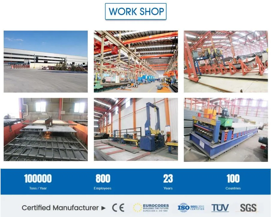 CE Sản xuất gia súc nhà nông nhà thép nhà gà và thiết bị cho gà 13
