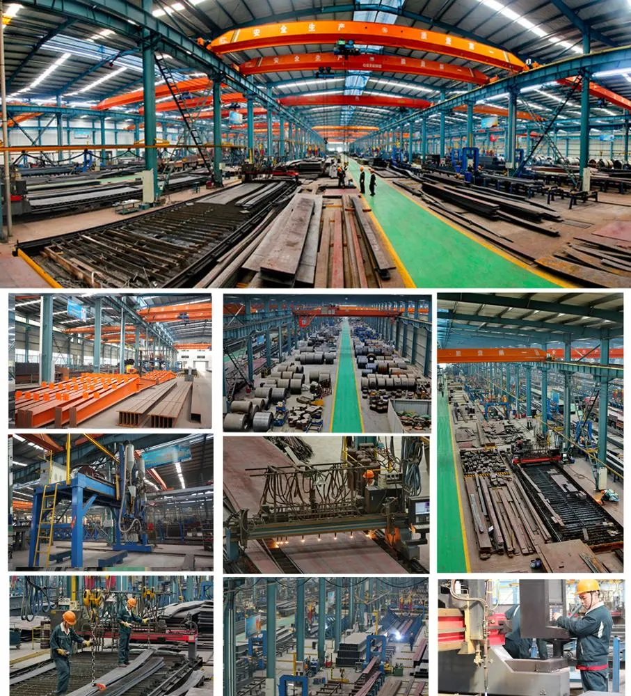 Sơn Xây dựng cấu trúc thép OEM Xưởng kho cấu trúc thép tiền chế 9