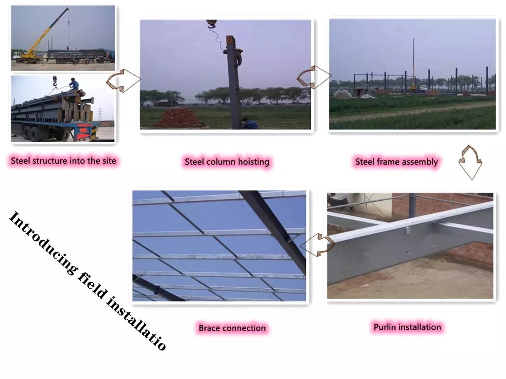 Sơn Xây dựng cấu trúc thép OEM Xưởng kho cấu trúc thép tiền chế 13